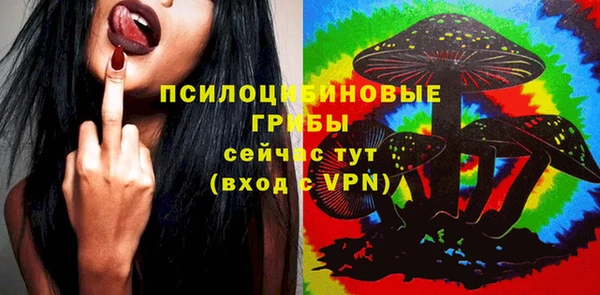 сатива Армянск