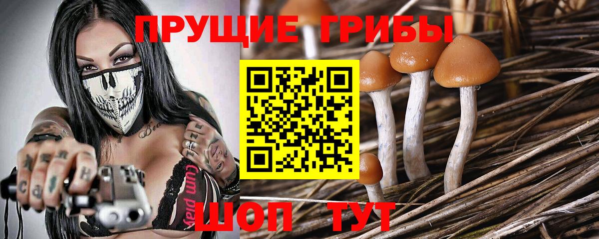 Галлюциногенные грибы ЛСД Брянск