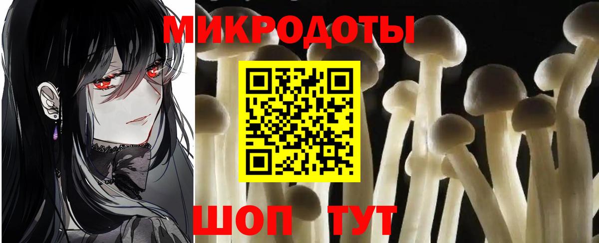 Галлюциногенные грибы ЛСД  купить наркотик  Брянск  Галлюциногенные грибы Magic Shrooms  Вход с VPN 